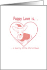 Merry Christmas puppy chihuahua santa costume card