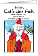 Sister Holidays Christmas Catfucius Naughty Nice Cat Humor Cartoon card