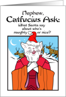 Nephew Holidays Christmas Catfucius Naughty Nice Cat Humor Cartoon card