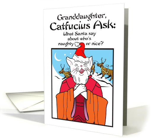 Granddaughter Christmas Catfucius Naughty Nice Cat Humor Cartoon card