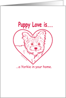 Love+Dog+Yorkie+home...