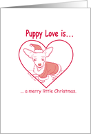 Merry Christmas puppy chihuahua santa costume card