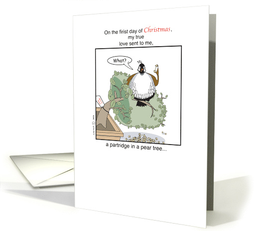 Christmas+1st Day+Partridge in Pear tree+Cartoon Humor card (479552)