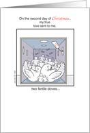 Christmas+2nd Day+turtle doves+fertile+Cartoon+Humor card