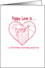 PLi A Christmas morning Surprise card