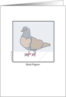 ISG Stool Pigeon card