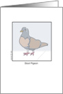 ISG Stool Pigeon card