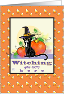 Happy Halloween Black Cat in witches hat - pumpkins card