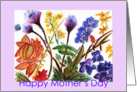 Happy Mothers Day Orchid 38 card