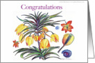 Congratulations Botanical Flower card
