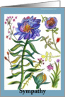 Blue Flower Sympathy Botanical card