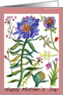 Happy Mothers Day Blue Flower card