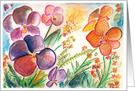 Orchids Sympathy Card