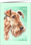 Terrier card