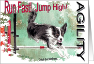 Agility Madness card