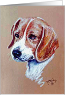 Beagle card