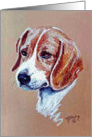 Beagle card