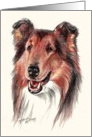 Collie card