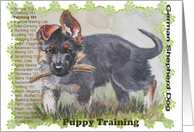 German Shepherd Puppy Fetching 101 card