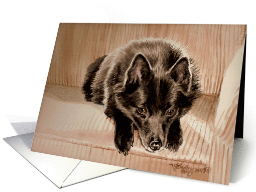 Schipperke card (156072)