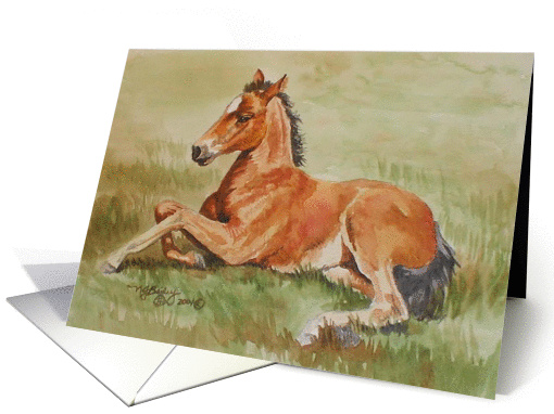 Miss Legs, Filly Watercolor card (158789)