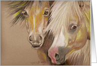 Two Ponies card