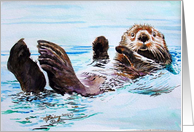Sea Otter card