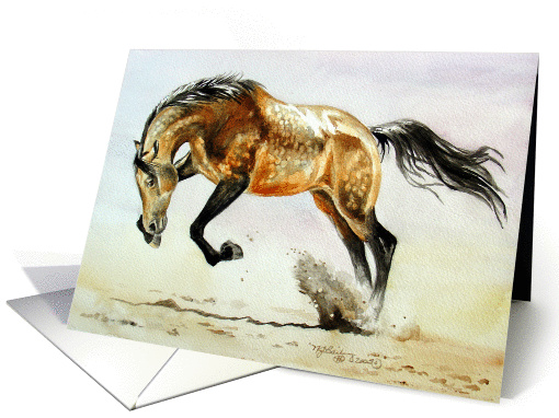 Buckskin Stallion card (167666)
