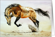 Buckskin Stallion card