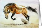 Buckskin Stallion card