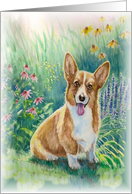 Corgi in the Garden card