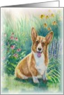 Corgi in the Garden card