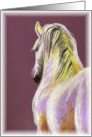 White Horse on Purple card