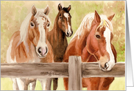 2 Belgians and a Thoroughbred card