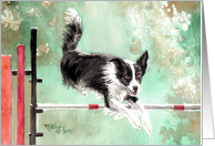 Border Collie in Agility card