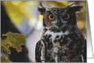 Great Horned Owl in Autumn card