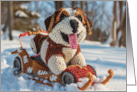 sledding dog card