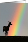 rainbow deer card