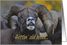 Gettin’ Old Bites Bighorn Birthday Card