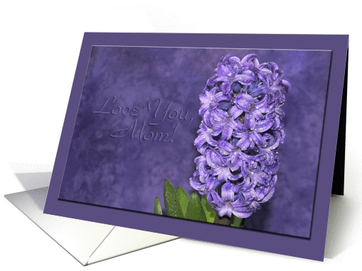 Love You Mom Hyacinth card (1273810)