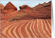 Coyote Buttes Landscape card