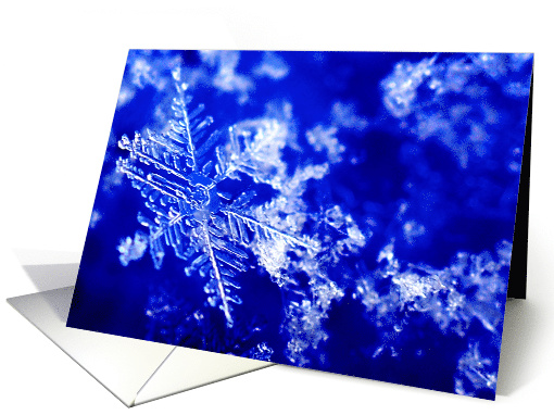 Winter's Here! card (1546274)