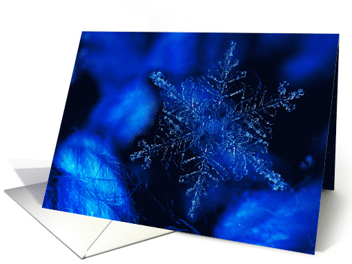 Snowflake Blue card (1602652)