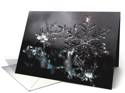 Snowflakes card (1603362)