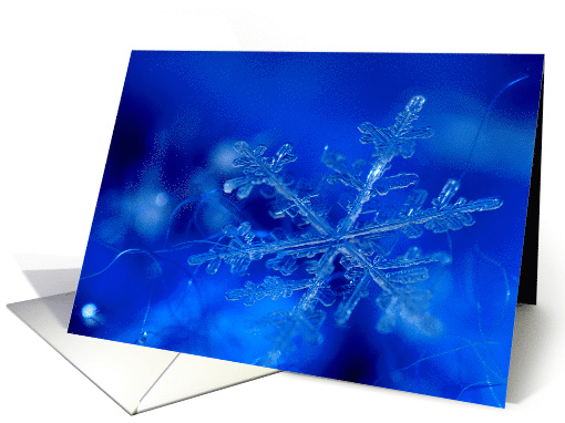 Snowflakes card (1603392)