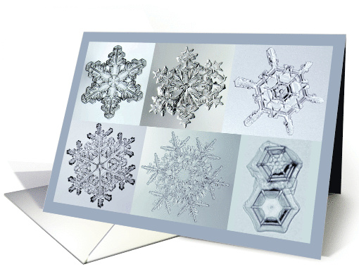 snowflakes from 25 May 2024 card (1837850)