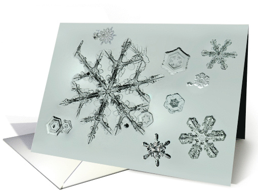 Snowflake Collage card (1890008)