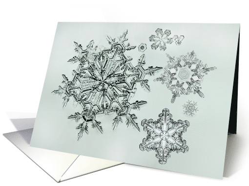 Sympathy Snowflake Collage card (1890012)
