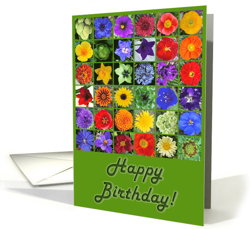 Flower Rainbow from My Garden card (1936014)