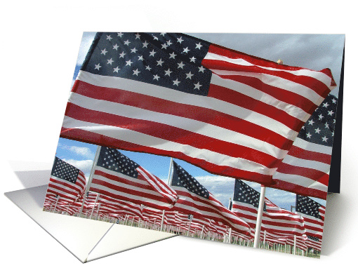 Healing Fields Patriotism card (211788)
